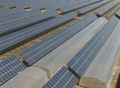 ũҵ������֧��