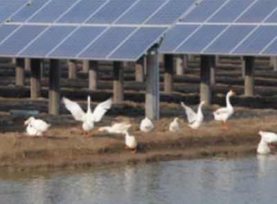 �̶�ʽ���֧��